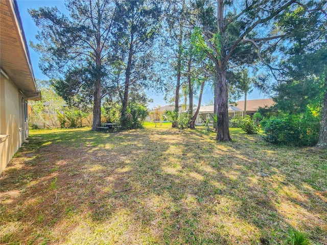 8 Burning Sands Ln, Palm Coast, FL 32137 - view of green lawn