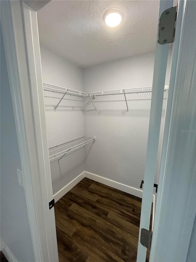 walk in closet with dark hardwood / wood-style flooring