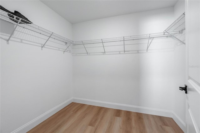 walk in closet with hardwood / wood-style floors