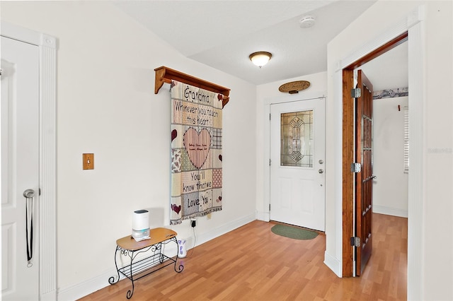 entryway with wood-type flooring