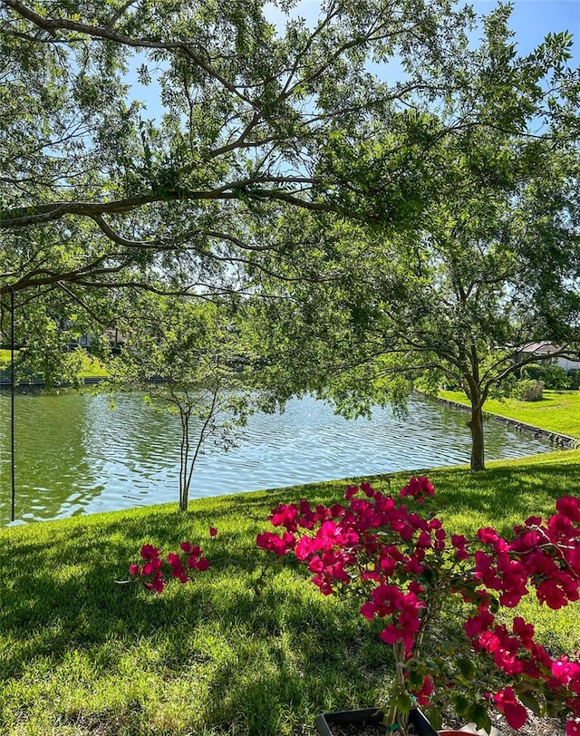 property view of water