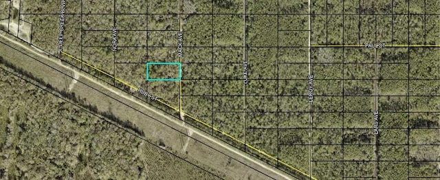 XX Mack Ave, Hastings FL, 32145 land for sale