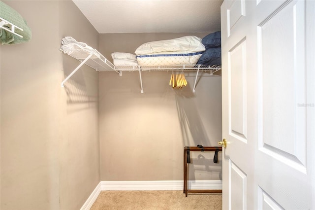 spacious closet with light carpet