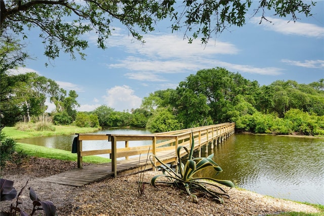 dock area with a water view