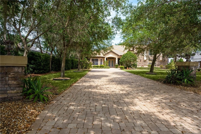 view of property hidden behind natural elements featuring stone siding, a front lawn, and decorative driveway