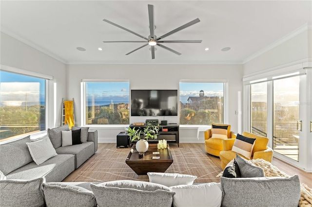 living room with hardwood / wood-style floors, ceiling fan, and crown molding