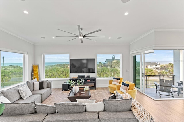 living room featuring crown molding, ceiling fan, and light wood-type flooring