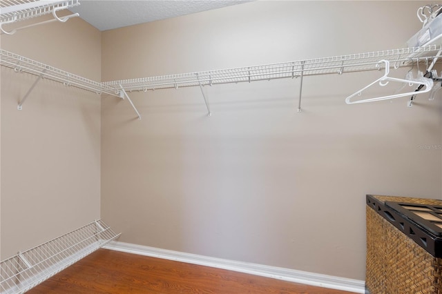 spacious closet featuring hardwood / wood-style floors