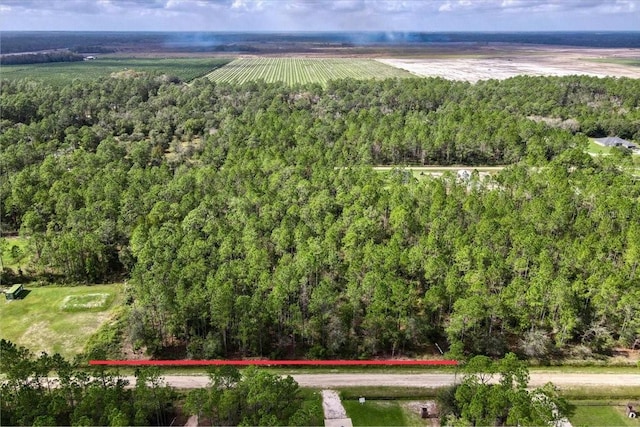 10345 Flikkema Ave, Hastings FL, 32145 land for sale