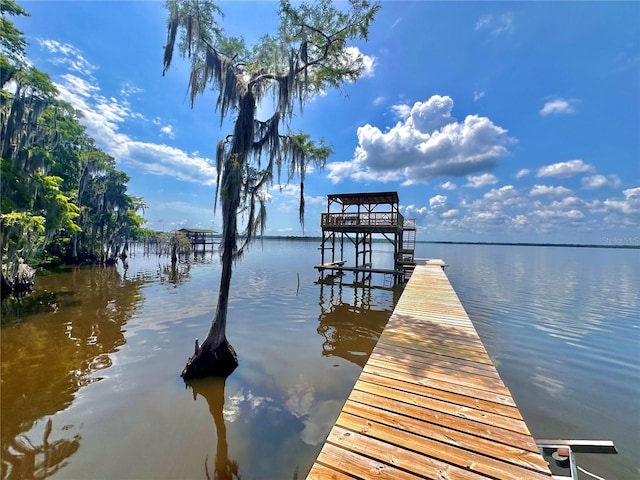 dock area with a water view