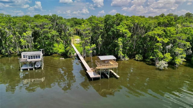 dock area featuring a water view