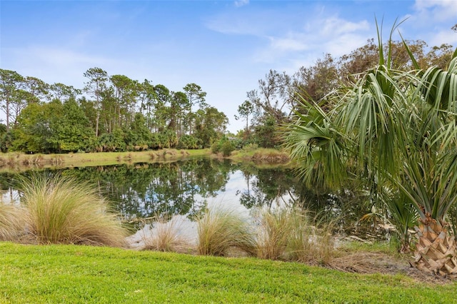 property view of water