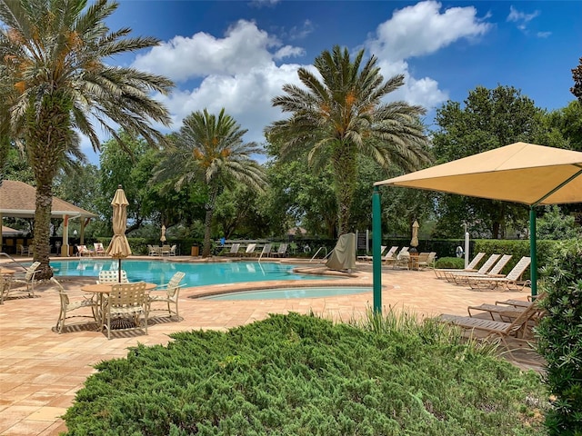 view of pool featuring a patio