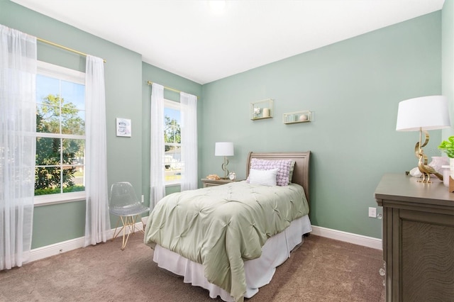 bedroom featuring carpet flooring and multiple windows