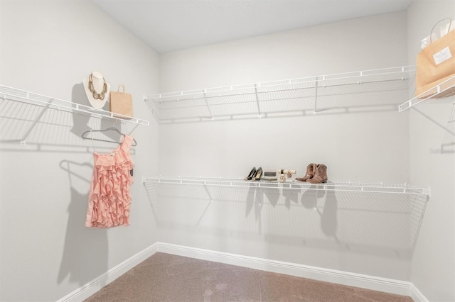 walk in closet with carpet flooring