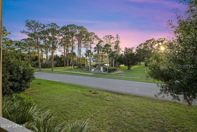 yard at dusk with driveway