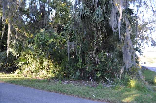 Dr Martin Luther King Jr Ave, Bunnell FL, 32110 land for sale