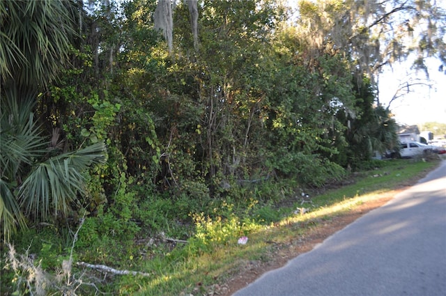 Listing photo 2 for Dr Martin Luther King Jr Ave, Bunnell FL 32110