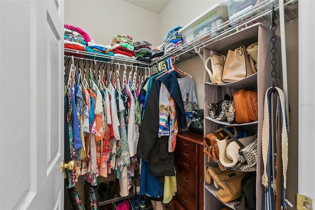 view of spacious closet