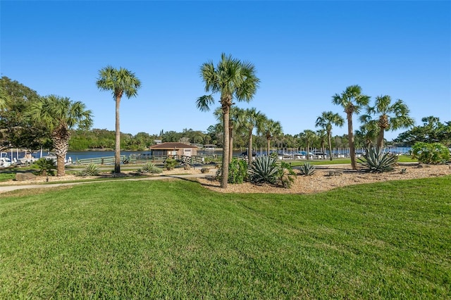 view of yard with a water view