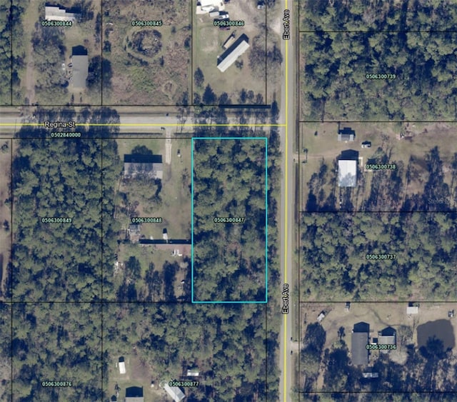 4205 Regina St, Hastings FL, 32145 land for sale