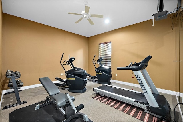 exercise room featuring carpet and ceiling fan