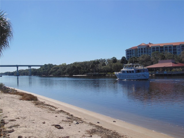 258 Harbor Village Pt N, Palm Coast, FL 32137 - photo 11