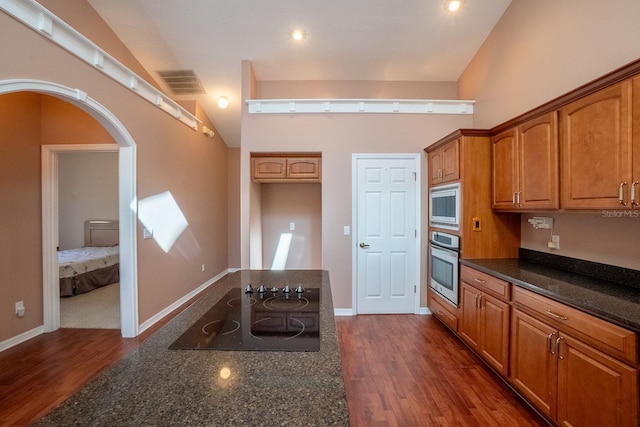 kitchen featuring high vaulted ceiling, stainless steel appliances, dark stone counters, and dark wood-type flooring