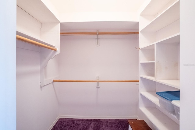 walk in closet featuring dark colored carpet