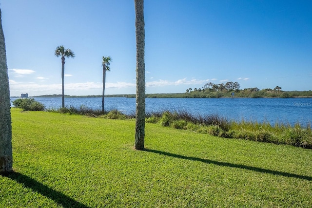 4 Ocean Palm Villa N, Flagler Beach, FL 32136 - water view