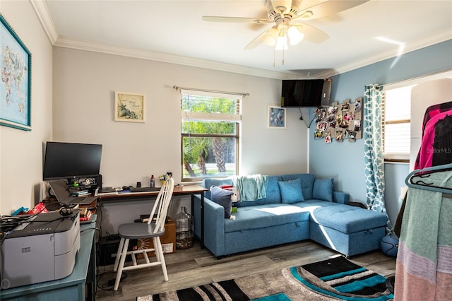 home office with crown molding, hardwood / wood-style floors, and ceiling fan