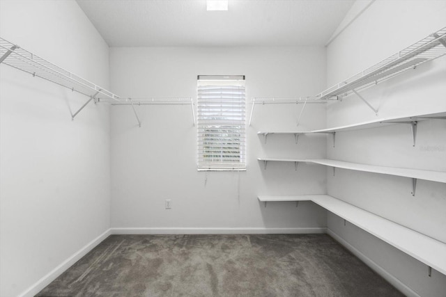 walk in closet featuring dark colored carpet