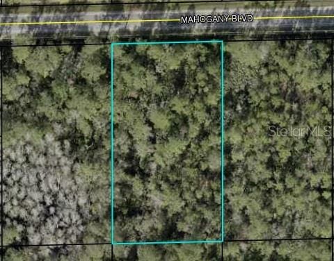 5845 Mahogany Blvd, Bunnell FL, 32110 land for sale