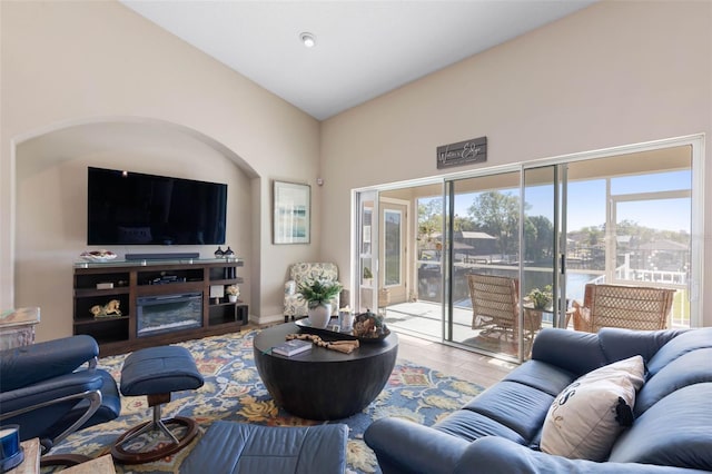 living room with lofted ceiling and wood-type flooring