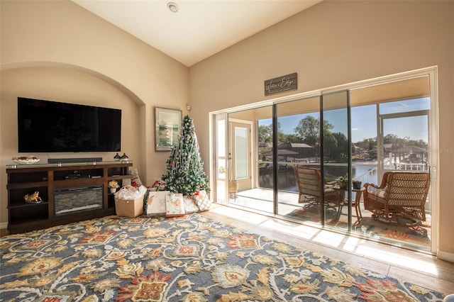 living room with lofted ceiling and wood-type flooring