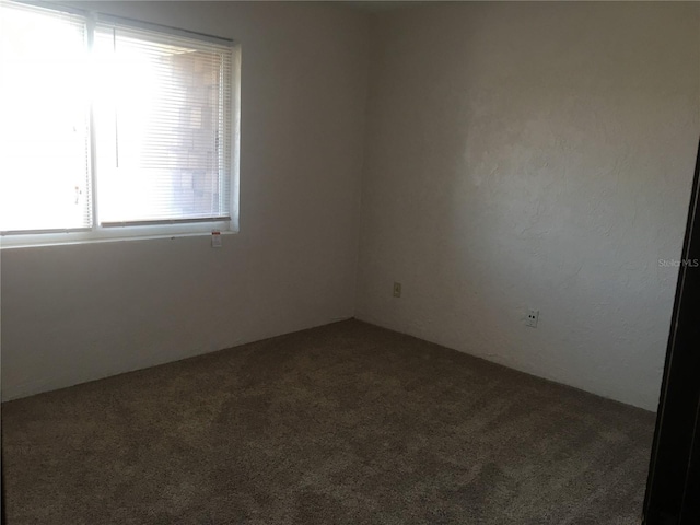 unfurnished room featuring carpet