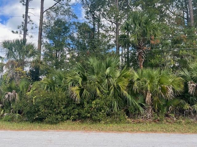 11 Pinelark Ln, Palm Coast FL, 32164 land for sale