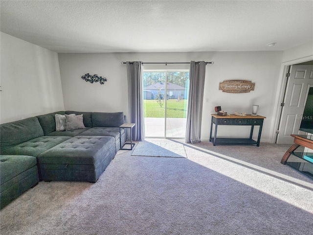 living room with carpet flooring and a textured ceiling