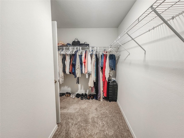 spacious closet featuring carpet floors