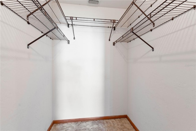 view of spacious closet