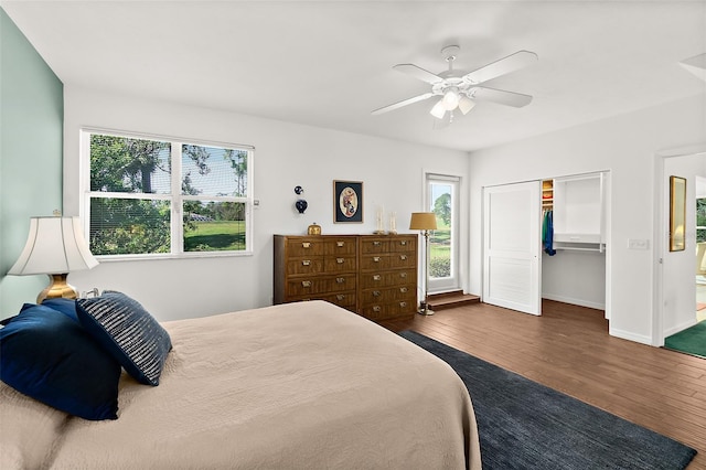 bedroom featuring a closet, dark hardwood / wood-style floors, multiple windows, and ceiling fan