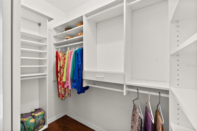 spacious closet featuring dark hardwood / wood-style floors