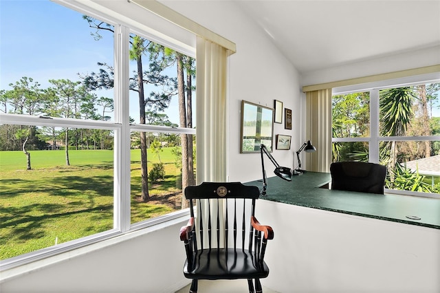 interior space with a wealth of natural light and vaulted ceiling