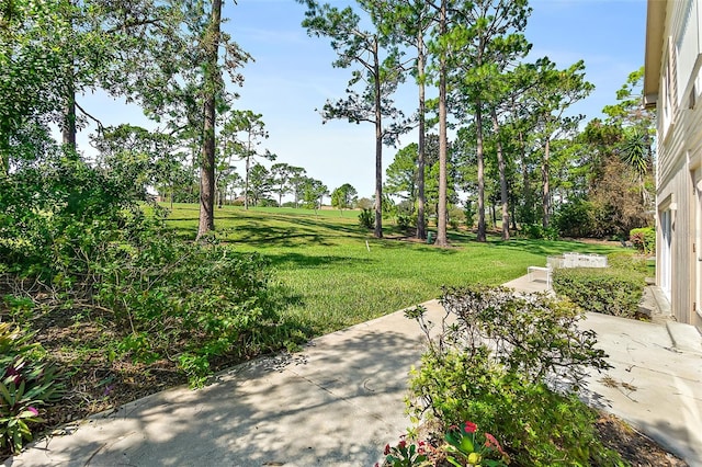 view of yard featuring a patio