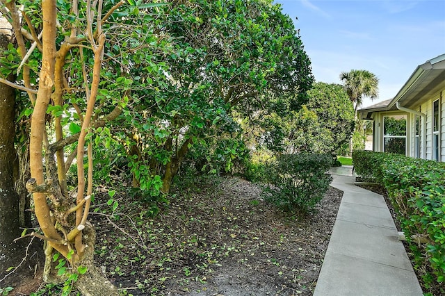 7 Jasmine Run, Ormond Beach, FL 32174 - view of yard