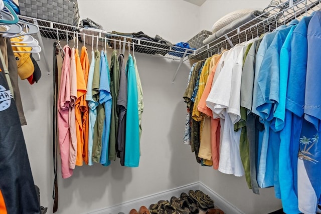 6 Lindsay Dr, Palm Coast, FL 32137 - view of spacious closet