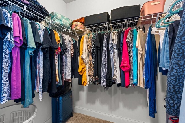 6 Lindsay Dr, Palm Coast, FL 32137 - view of walk in closet