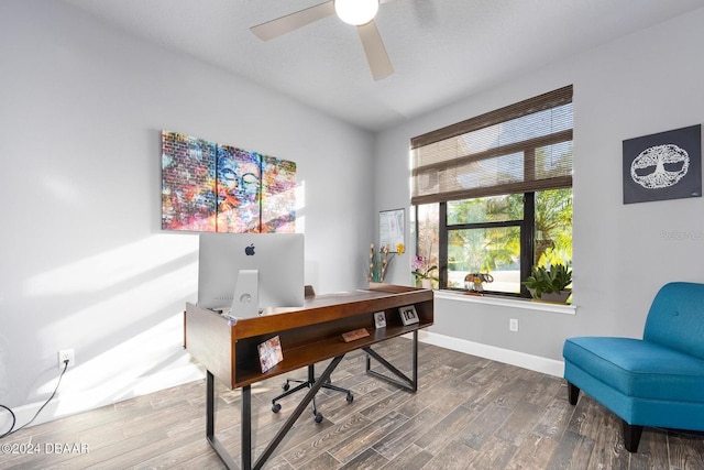 office featuring ceiling fan and hardwood / wood-style floors