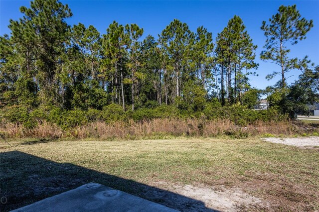 1 Lewis Shire Pl, Palm Coast, FL 32137 - photo 22