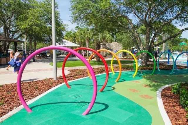 view of jungle gym